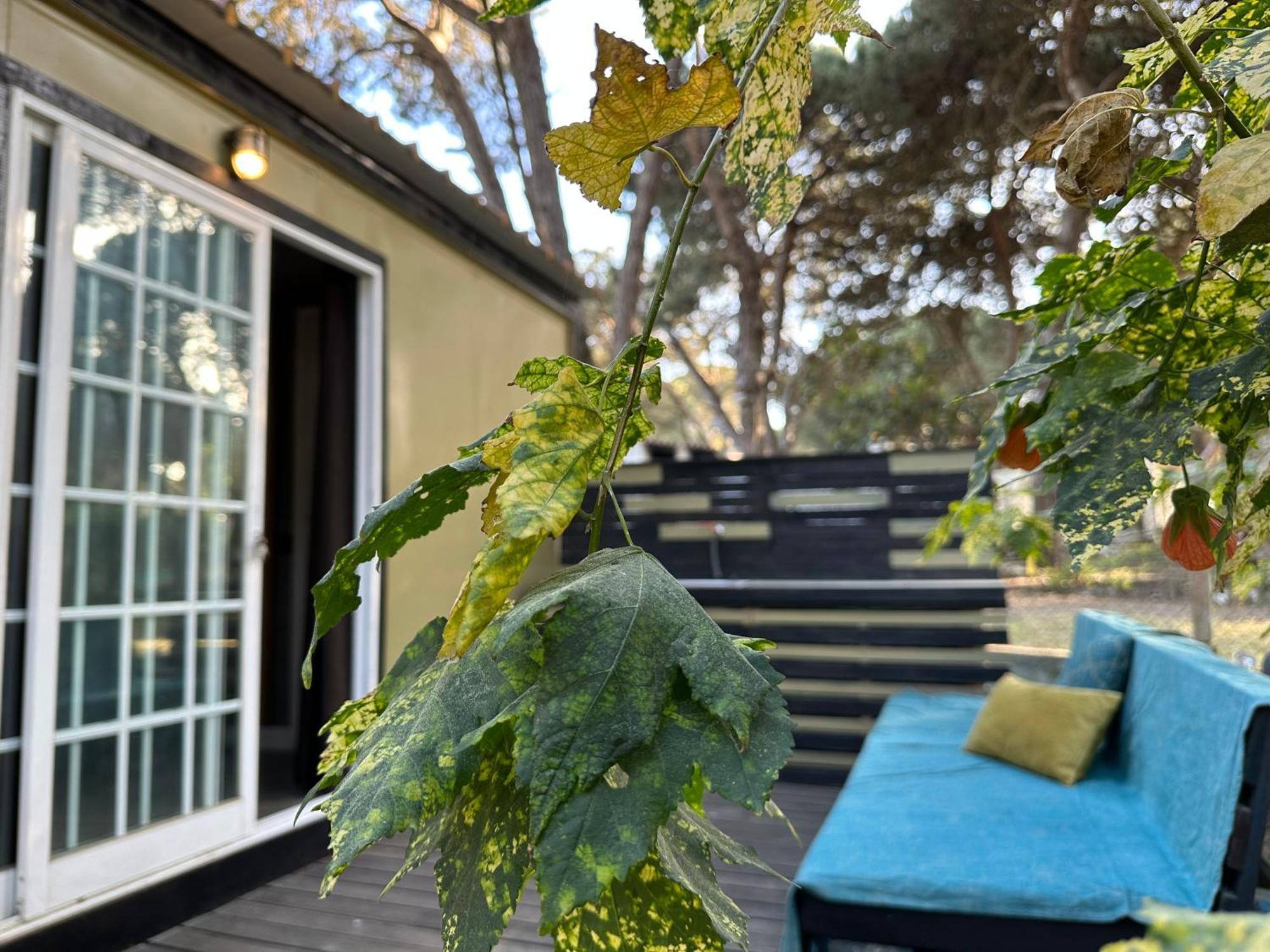 ססימברה Eco-Friendly Beach House מראה חיצוני תמונה