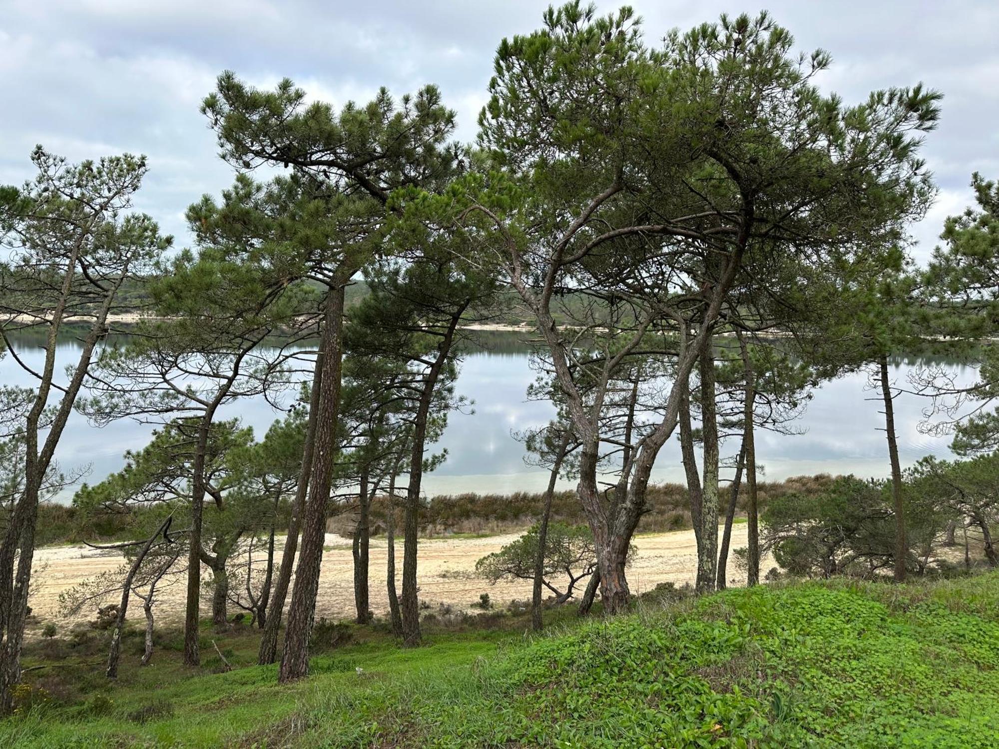 ססימברה Eco-Friendly Beach House מראה חיצוני תמונה